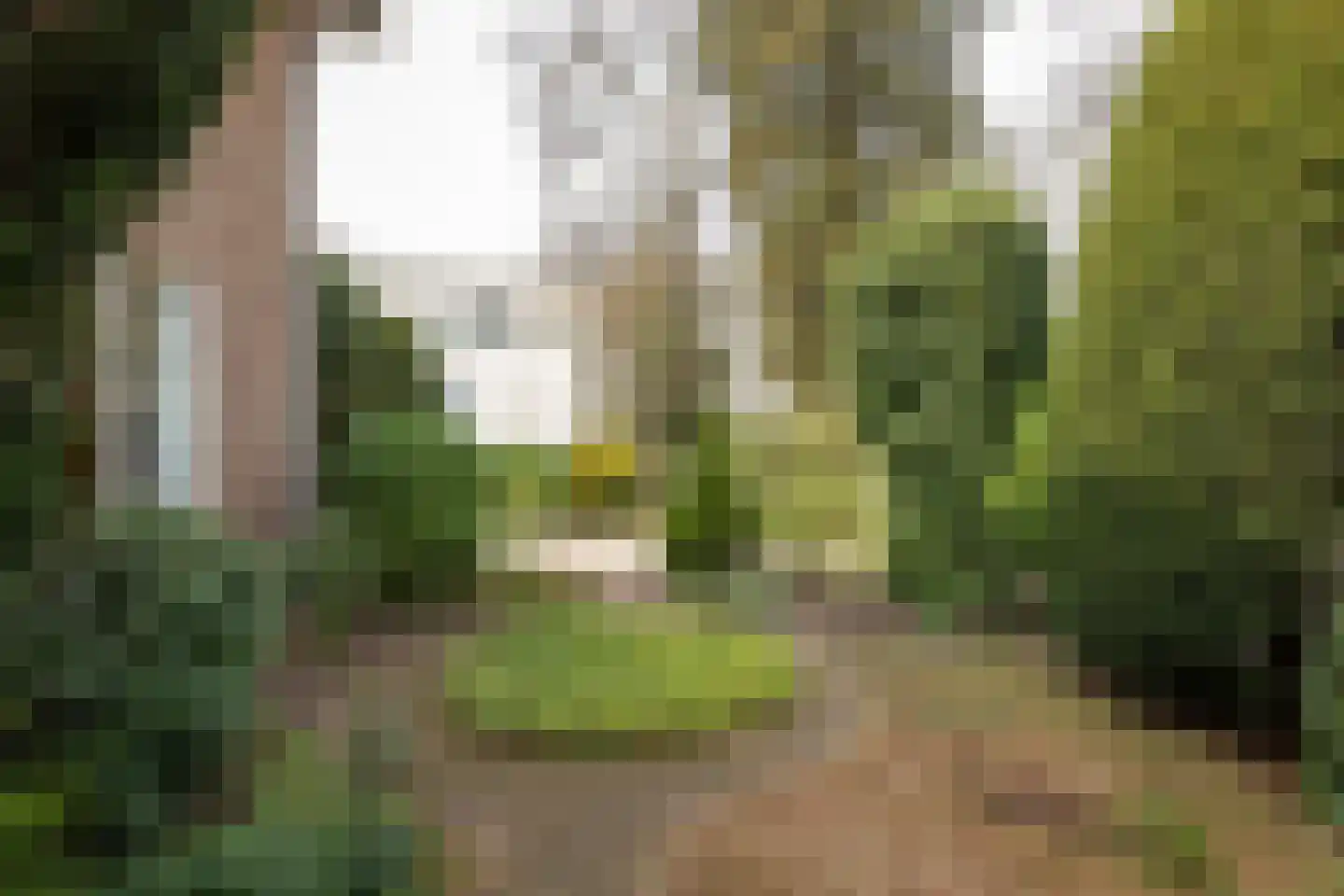 Stationsweg 55 Baarn thumbnail 6