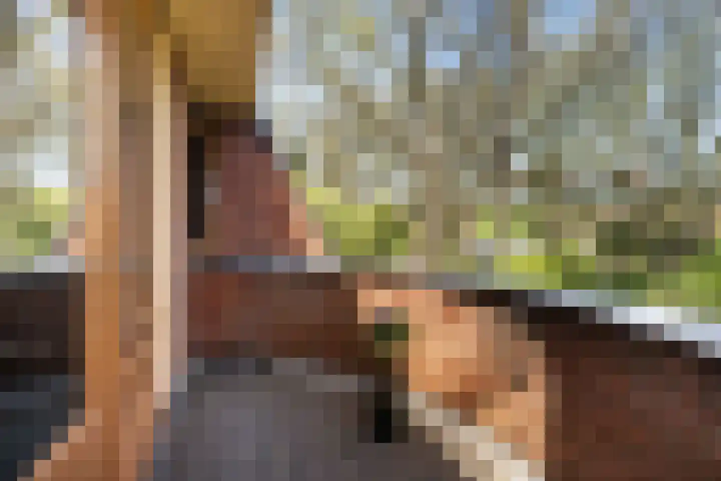 Stationsweg 56 Barendrecht thumbnail 41