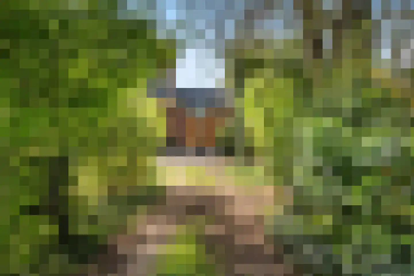 Stationsweg 56 Barendrecht thumbnail 5