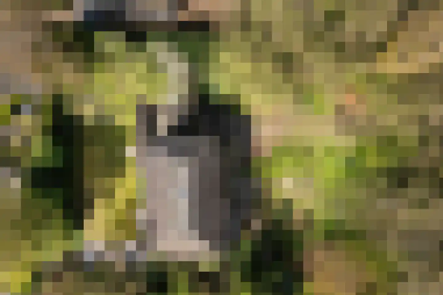Stationsweg 56 Barendrecht thumbnail 61