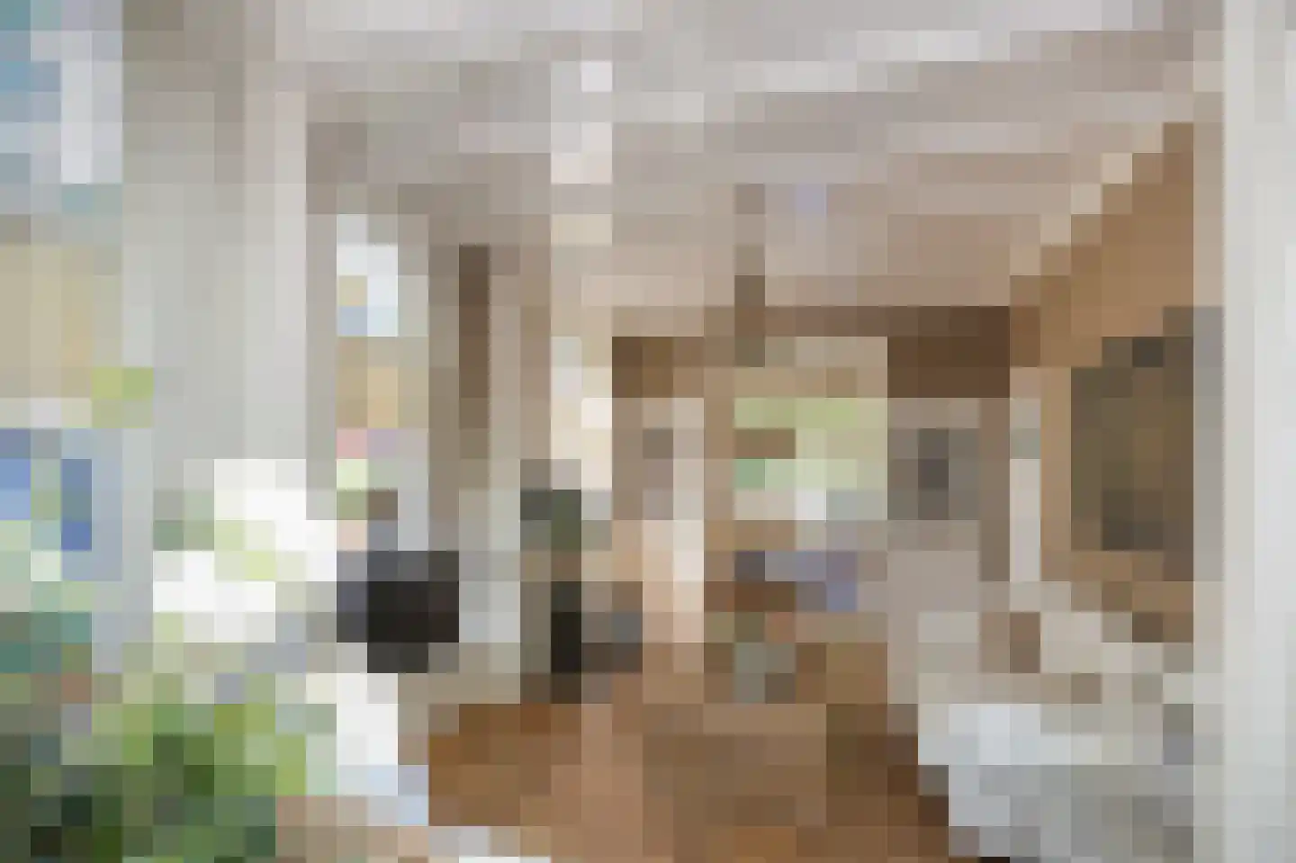 Stationsweg 56 Oostvoorne thumbnail 20