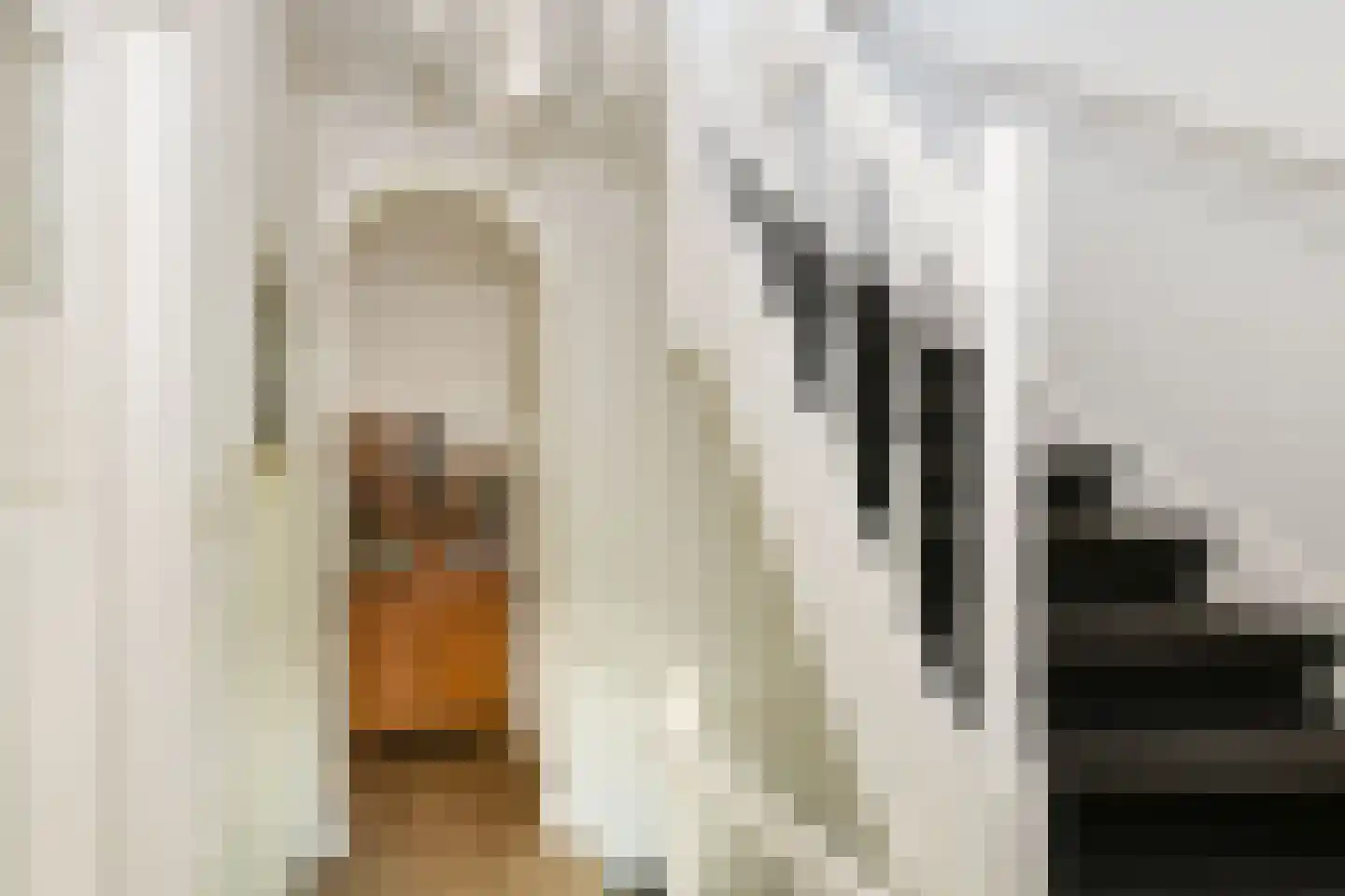Stationsweg 56 Oostvoorne thumbnail 34