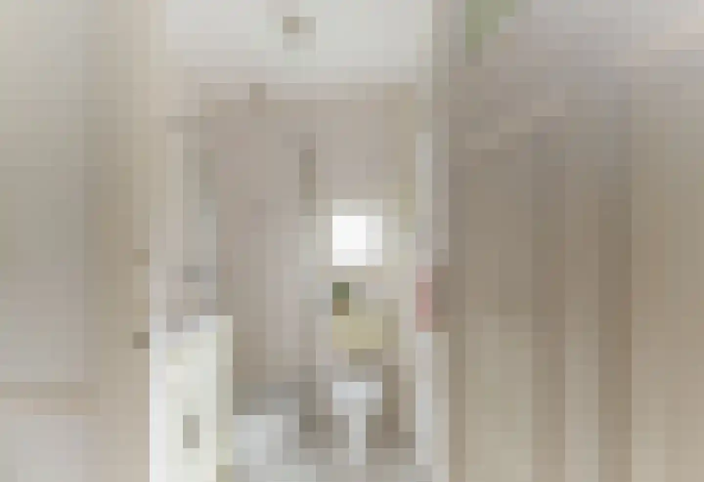 Stationsweg 56 Oostvoorne thumbnail 37