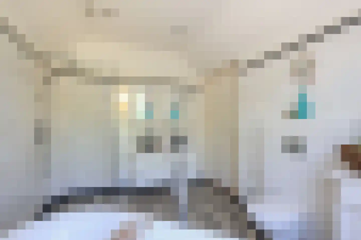 Stationsweg 56 Oostvoorne thumbnail 44
