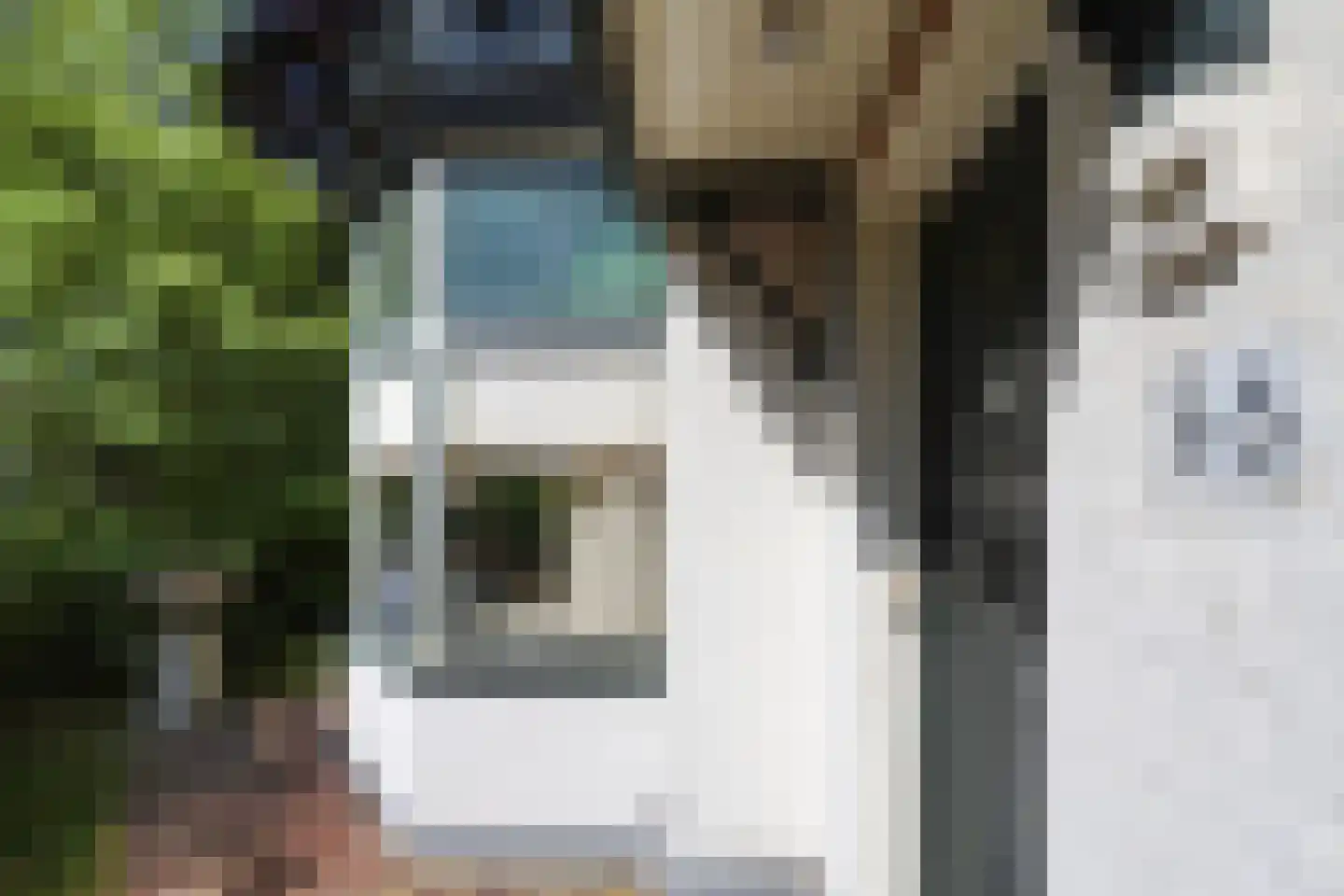 Stationsweg 56 Oostvoorne thumbnail 5
