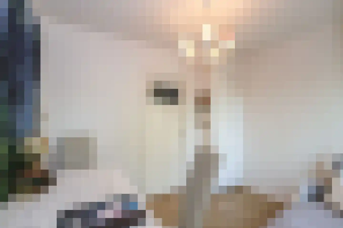 Stationsweg 56 Oostvoorne thumbnail 53