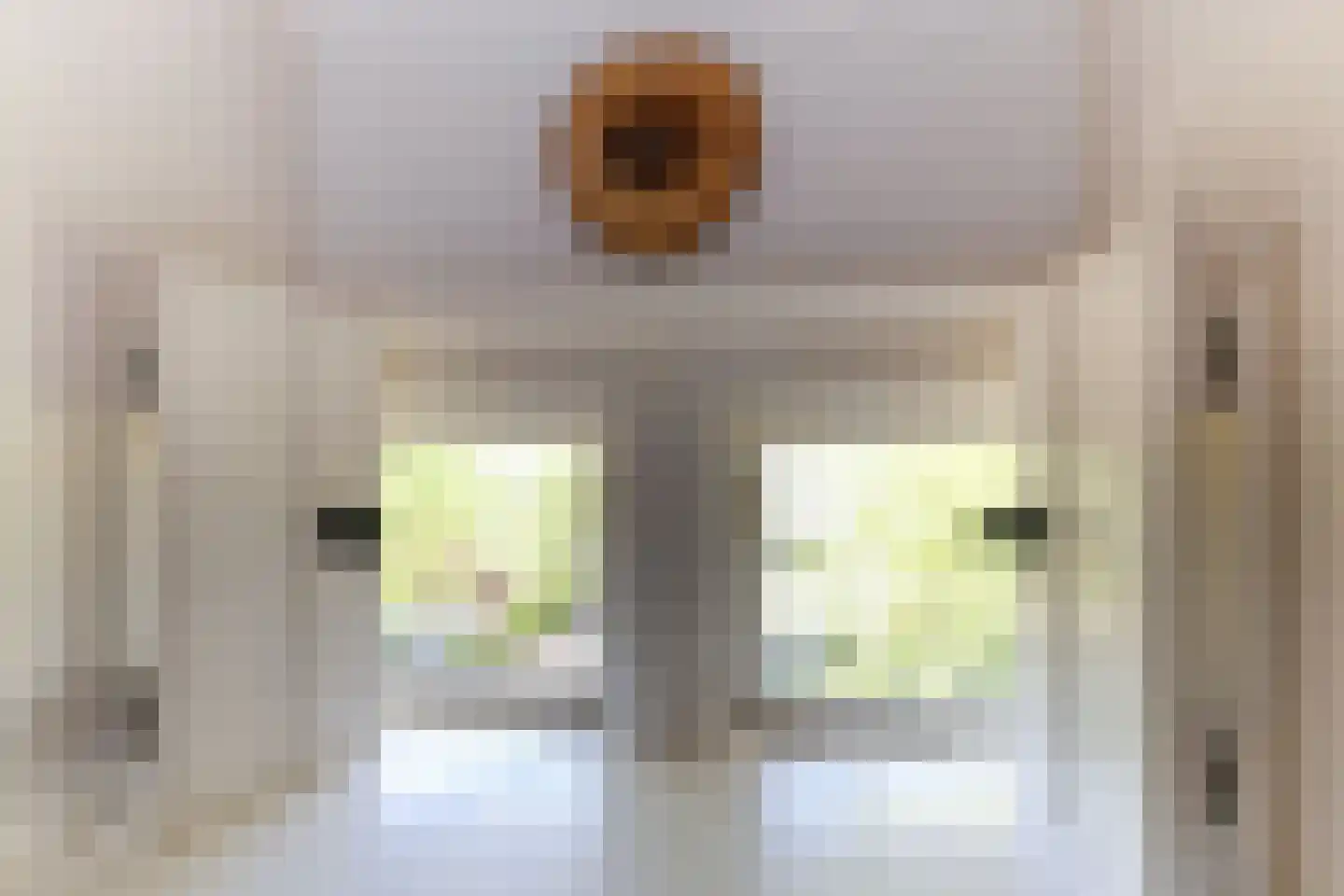 Stationsweg 56 Oostvoorne thumbnail 58