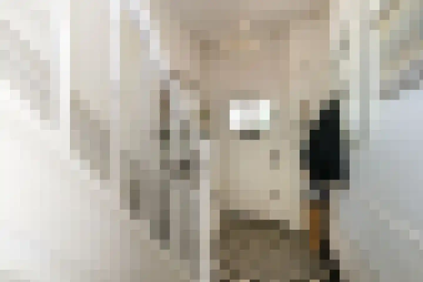 Stationsweg 56 Oostvoorne thumbnail 7