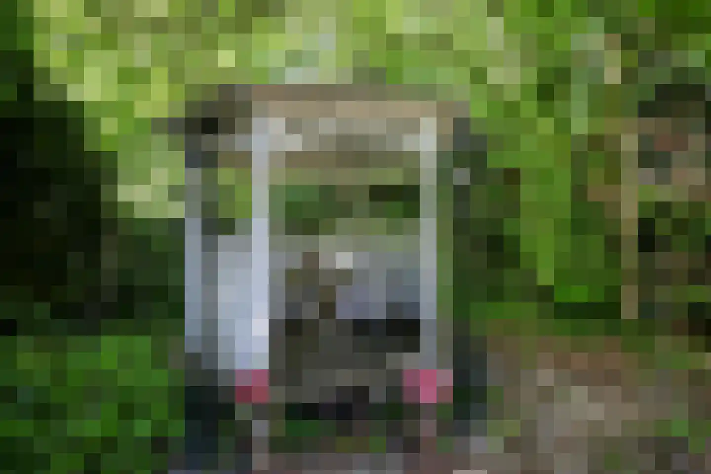 Stationsweg 56 Oostvoorne thumbnail 72