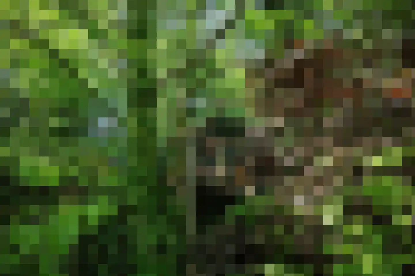 Stationsweg 56 Oostvoorne thumbnail 73