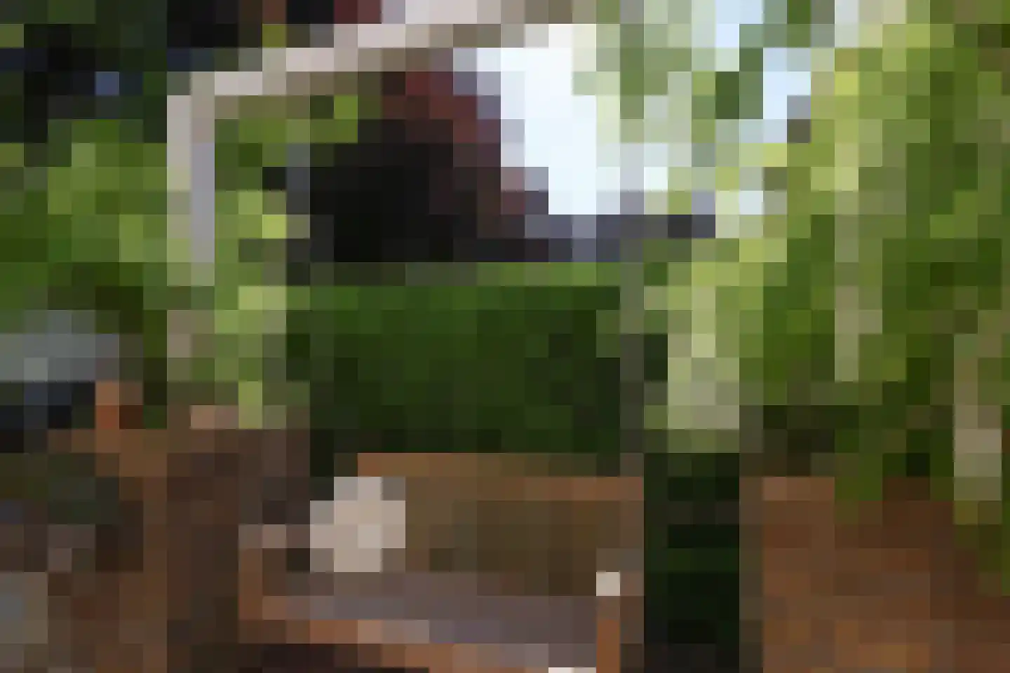 Stationsweg 56 Oostvoorne thumbnail 81