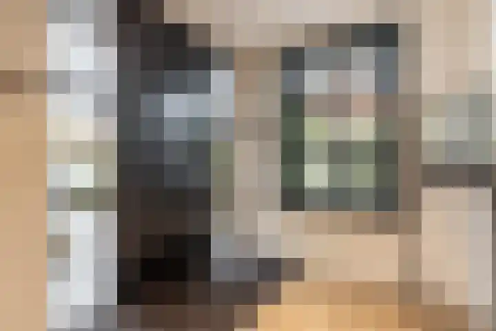 Stationsweg 57 Oostvoorne thumbnail 12