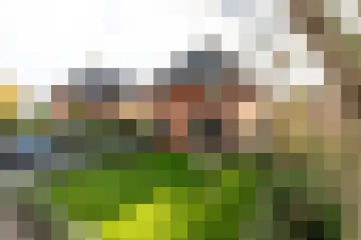 Stationsweg 57 Oostvoorne thumbnail 6
