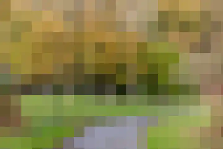 Stationsweg 57 Oostvoorne thumbnail 62