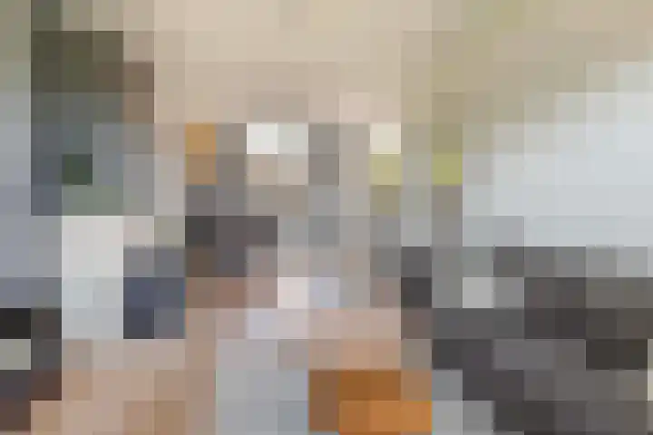 Stationsweg 59 Wezep thumbnail 19