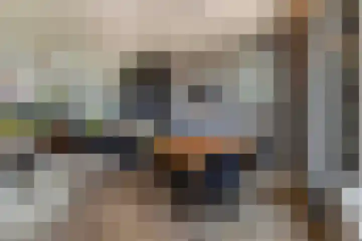 Stationsweg 59 Wezep thumbnail 22