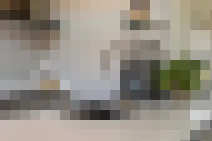 Stationsweg 59 Wezep thumbnail 25