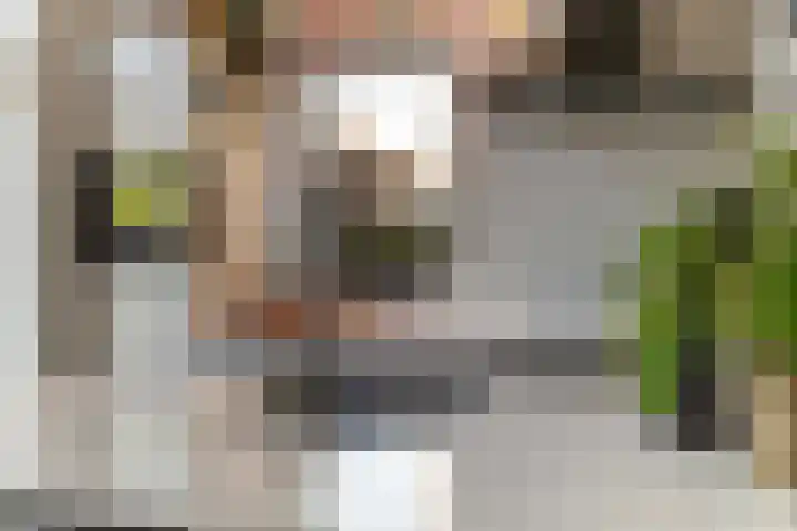Stationsweg 59 Wezep thumbnail 27