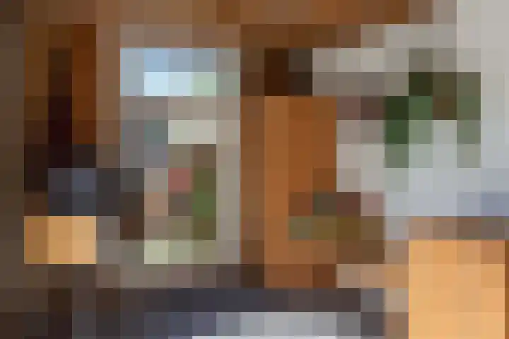 Stationsweg 59 Wezep thumbnail 46