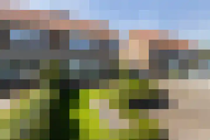 Stationsweg 59 Wezep thumbnail 6