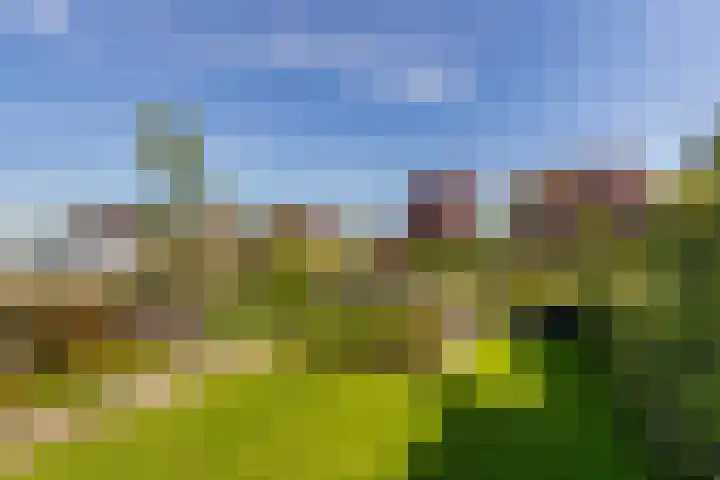 Stationsweg 59 Wezep thumbnail 7