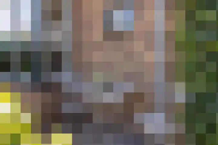 Stationsweg 59 Wezep thumbnail 8