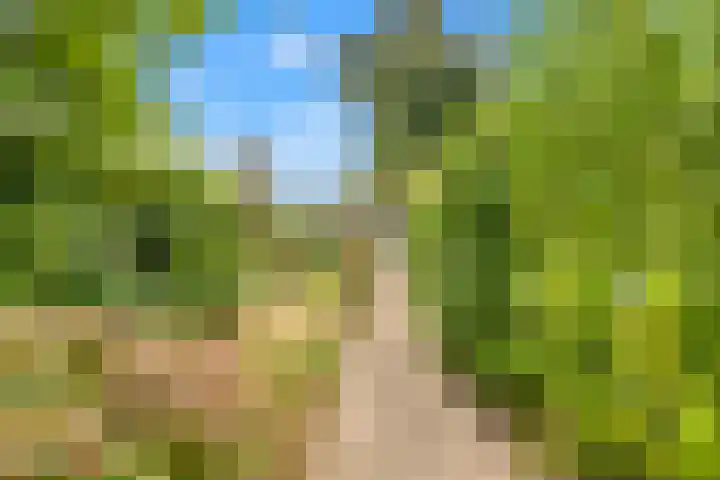 Stationsweg 6 Heiloo thumbnail 26