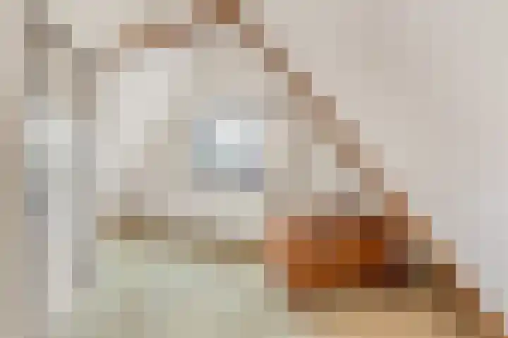 Stationsweg 6 Heiloo thumbnail 31