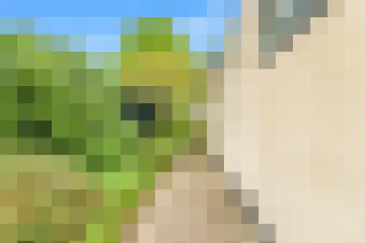Stationsweg 6 Heiloo thumbnail 35