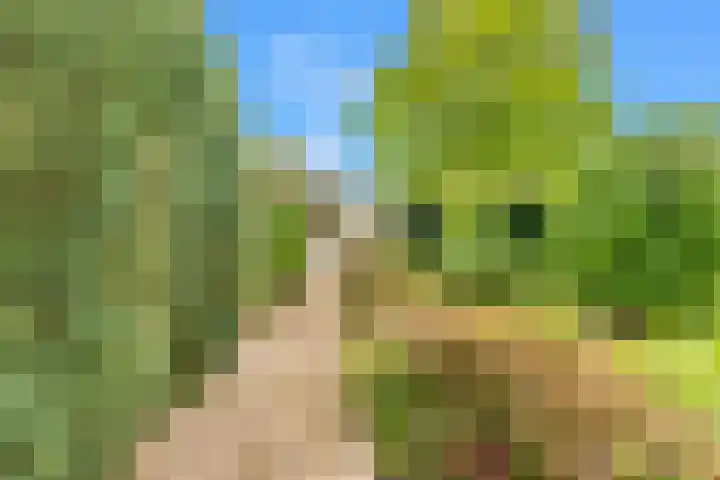 Stationsweg 6 Heiloo thumbnail 36