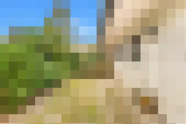 Stationsweg 6 Heiloo thumbnail 37