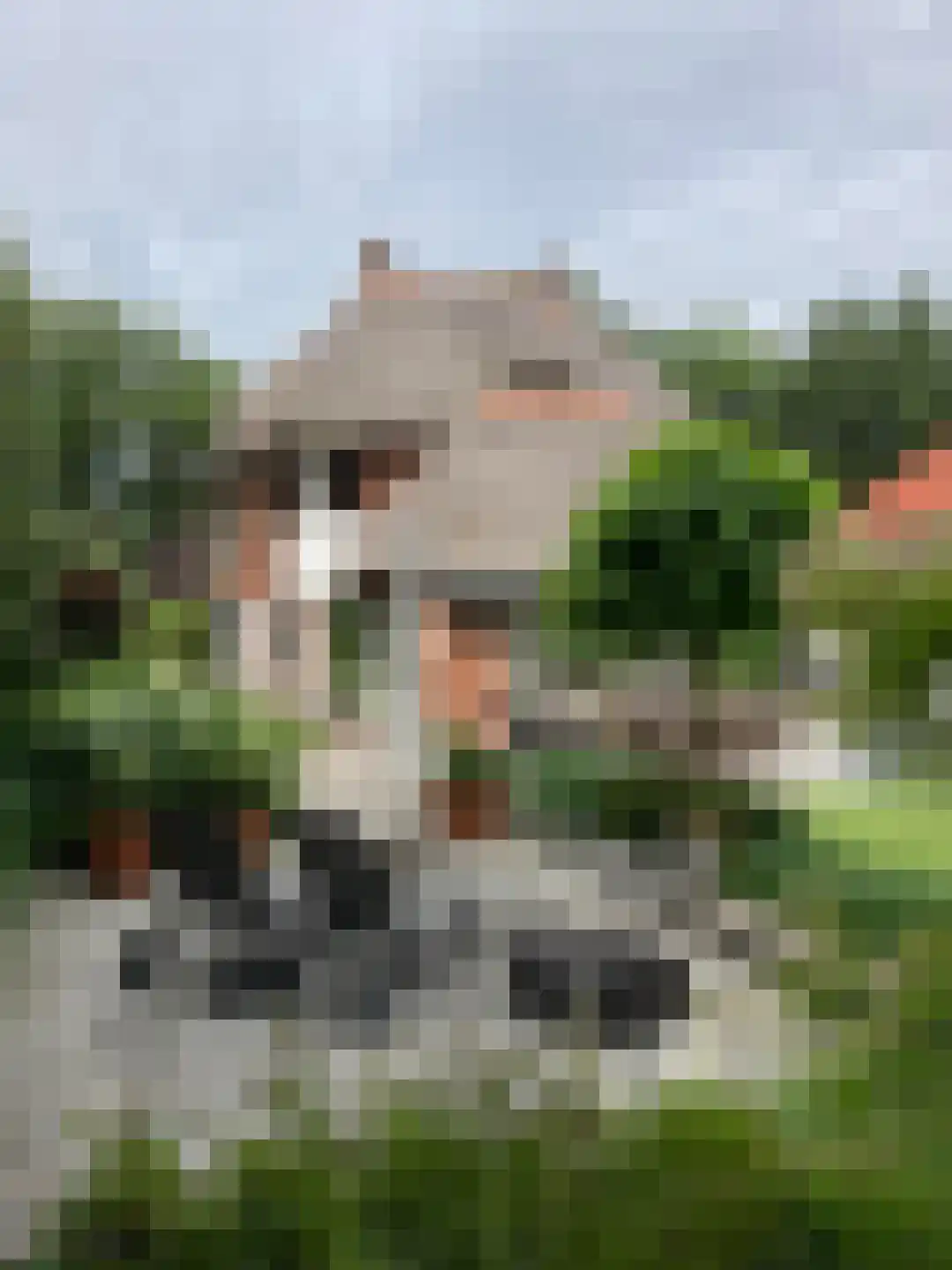Stationsweg 6 Ommen thumbnail 102