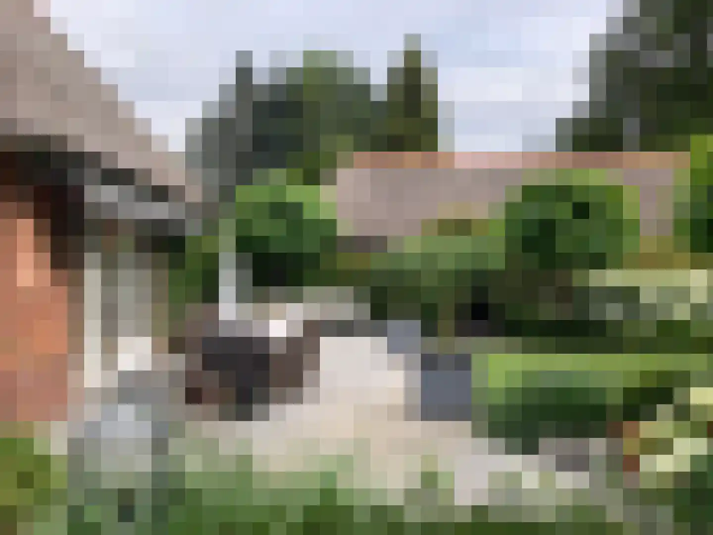 Stationsweg 6 Ommen thumbnail 104