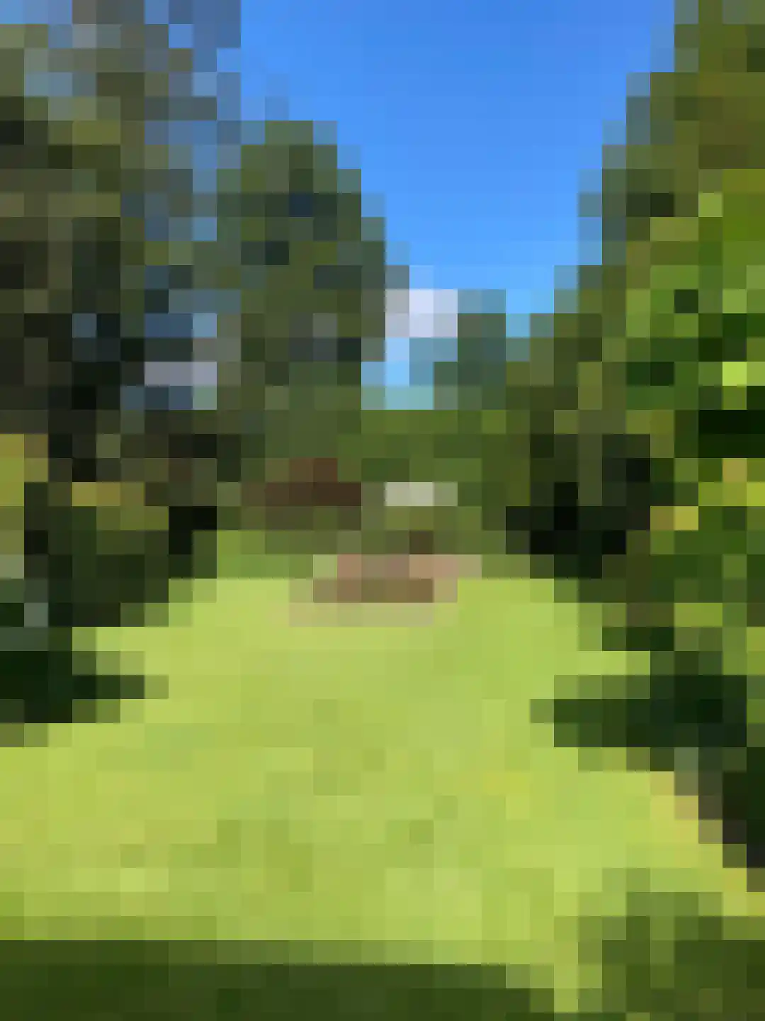 Stationsweg 6 Ommen thumbnail 107