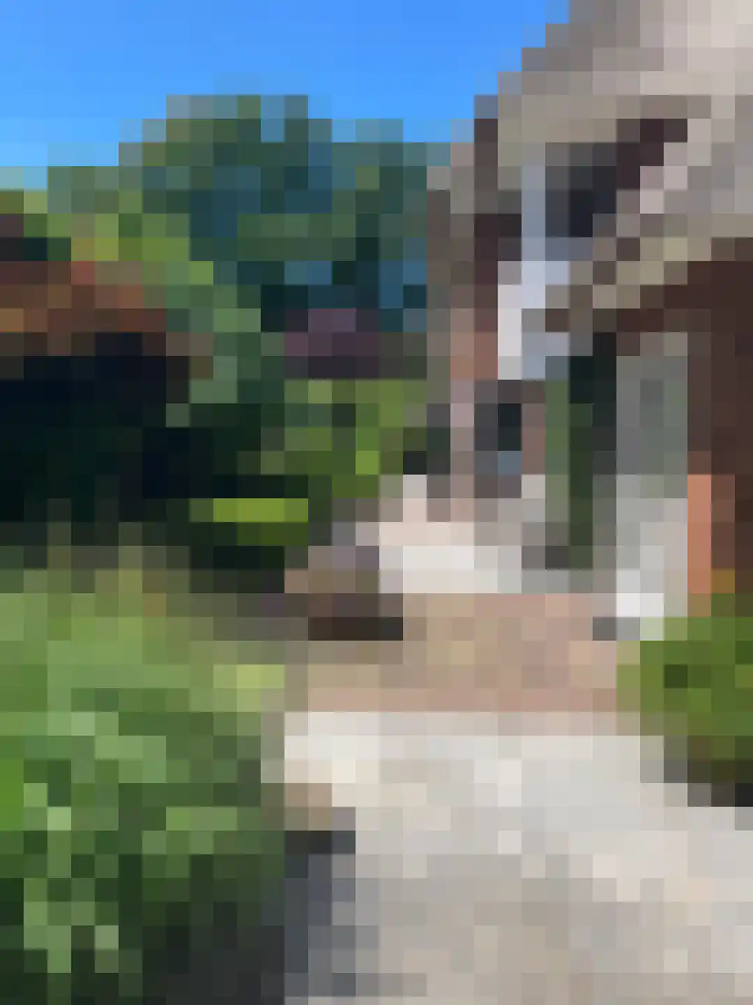Stationsweg 6 Ommen thumbnail 108