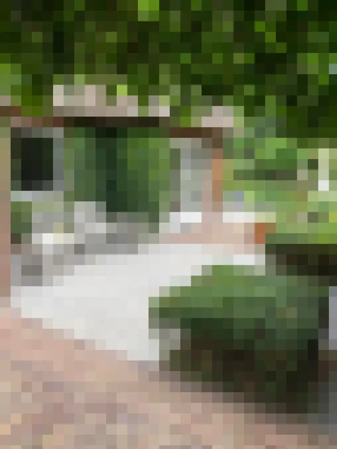 Stationsweg 6 Ommen thumbnail 110