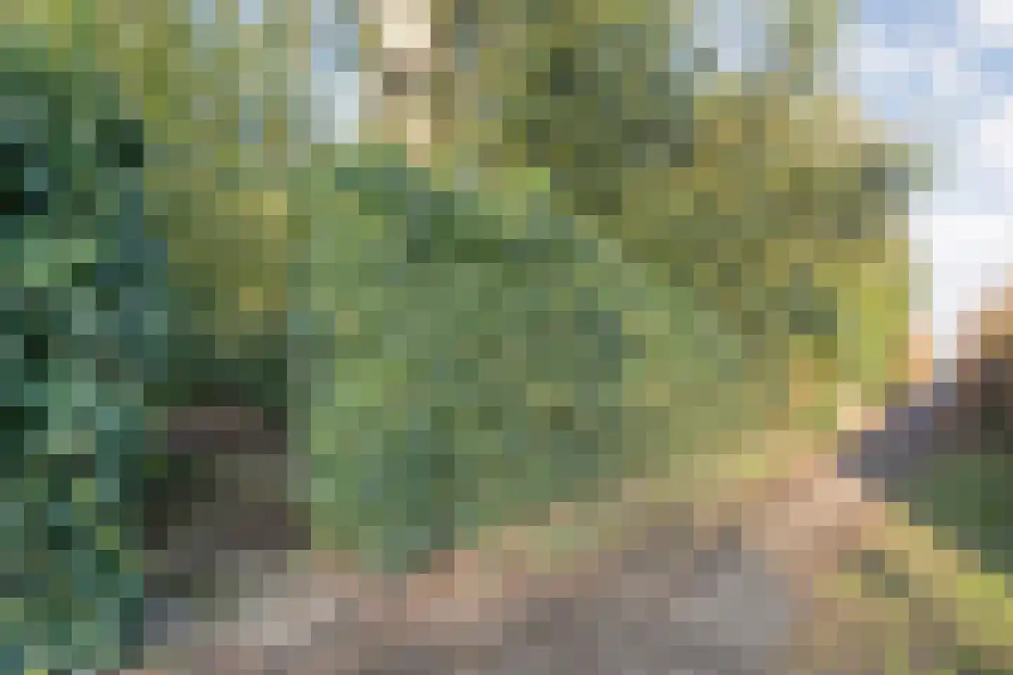 Stationsweg 6 Ommen thumbnail 119