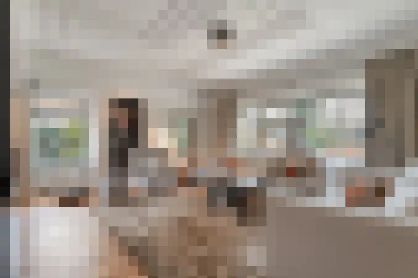 Stationsweg 6 Ommen thumbnail 18