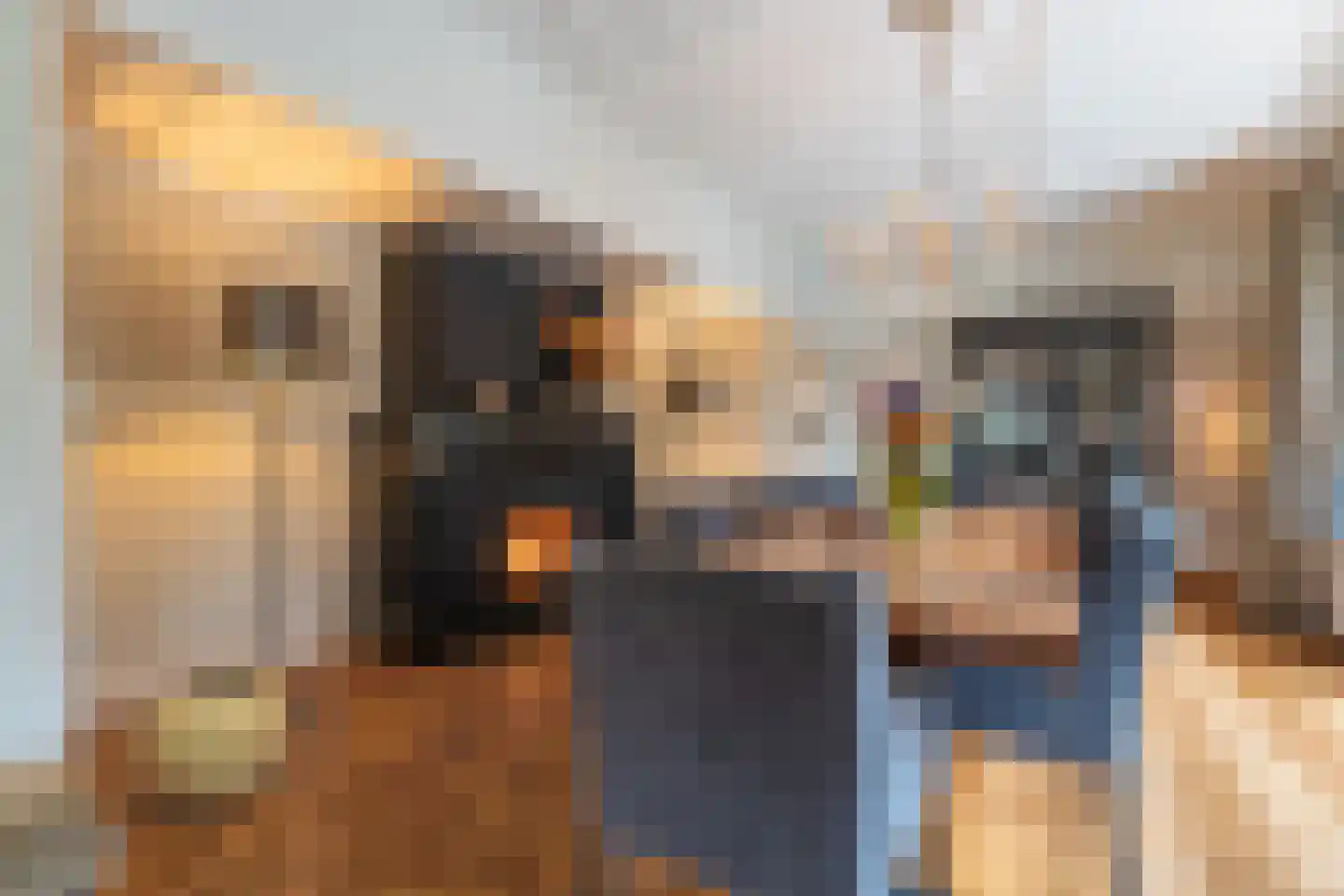 Stationsweg 6 Ommen thumbnail 23
