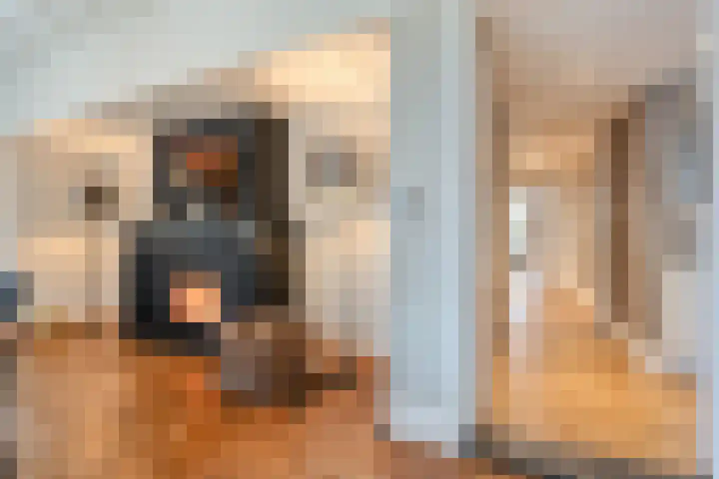 Stationsweg 6 Ommen thumbnail 27