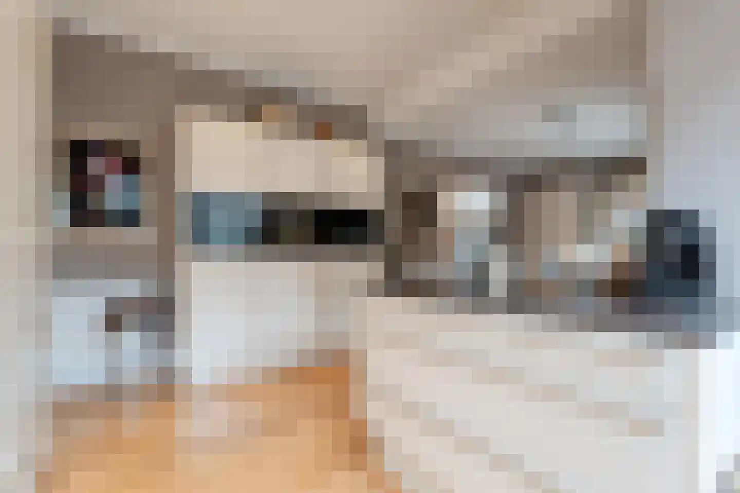 Stationsweg 6 Ommen thumbnail 35