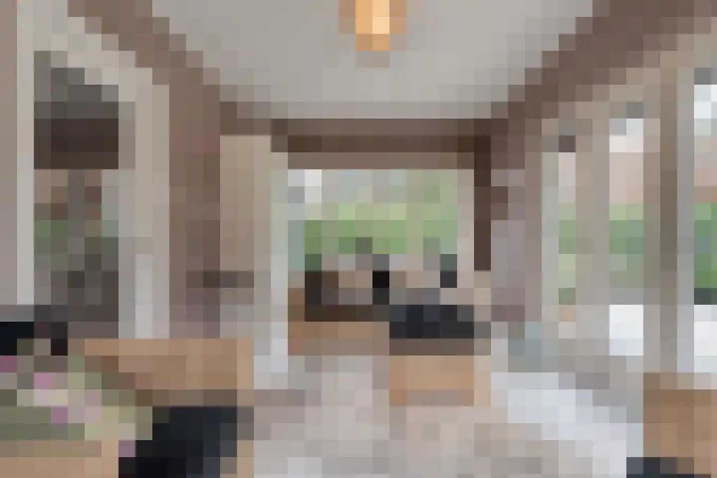Stationsweg 6 Ommen thumbnail 37