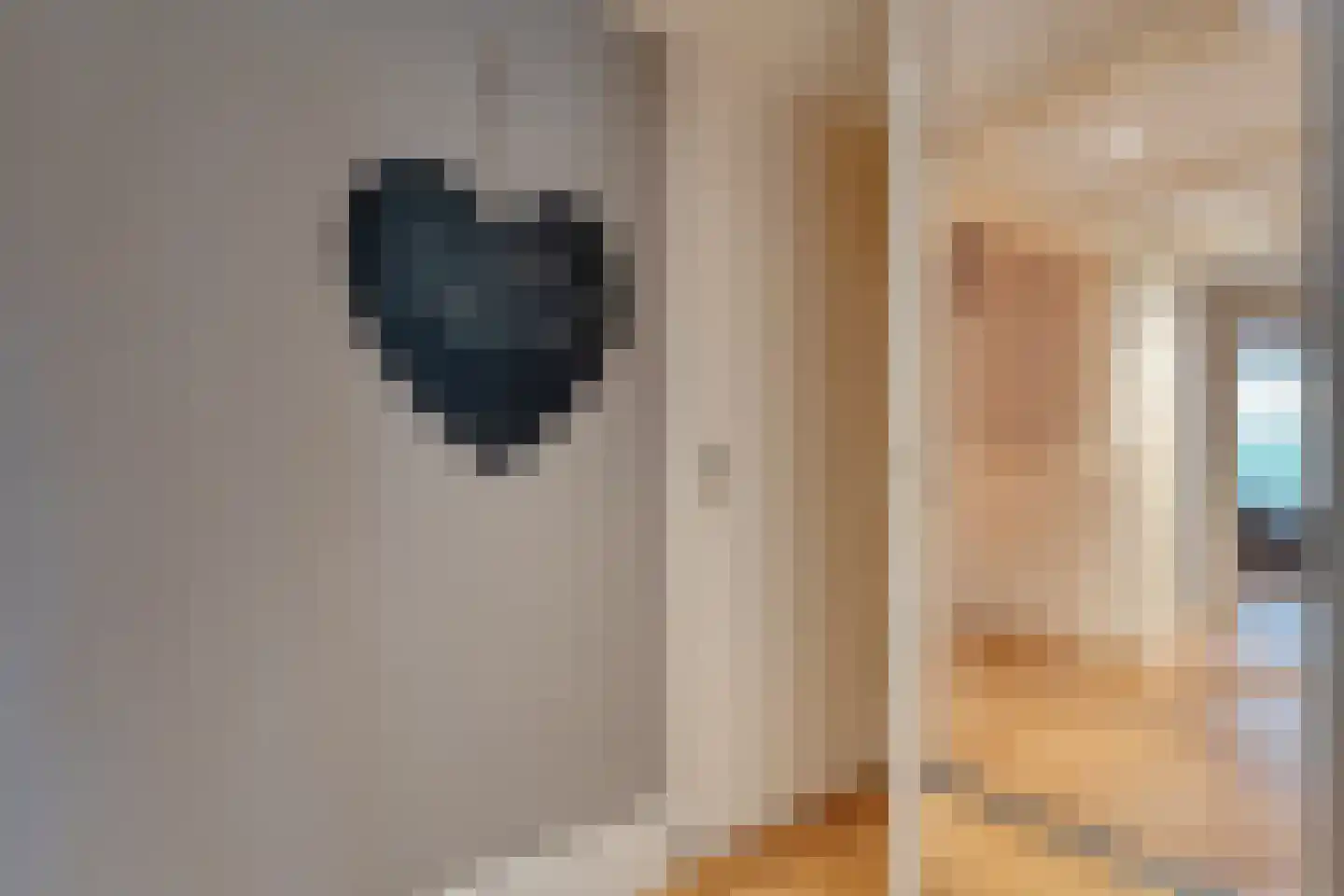 Stationsweg 6 Ommen thumbnail 62