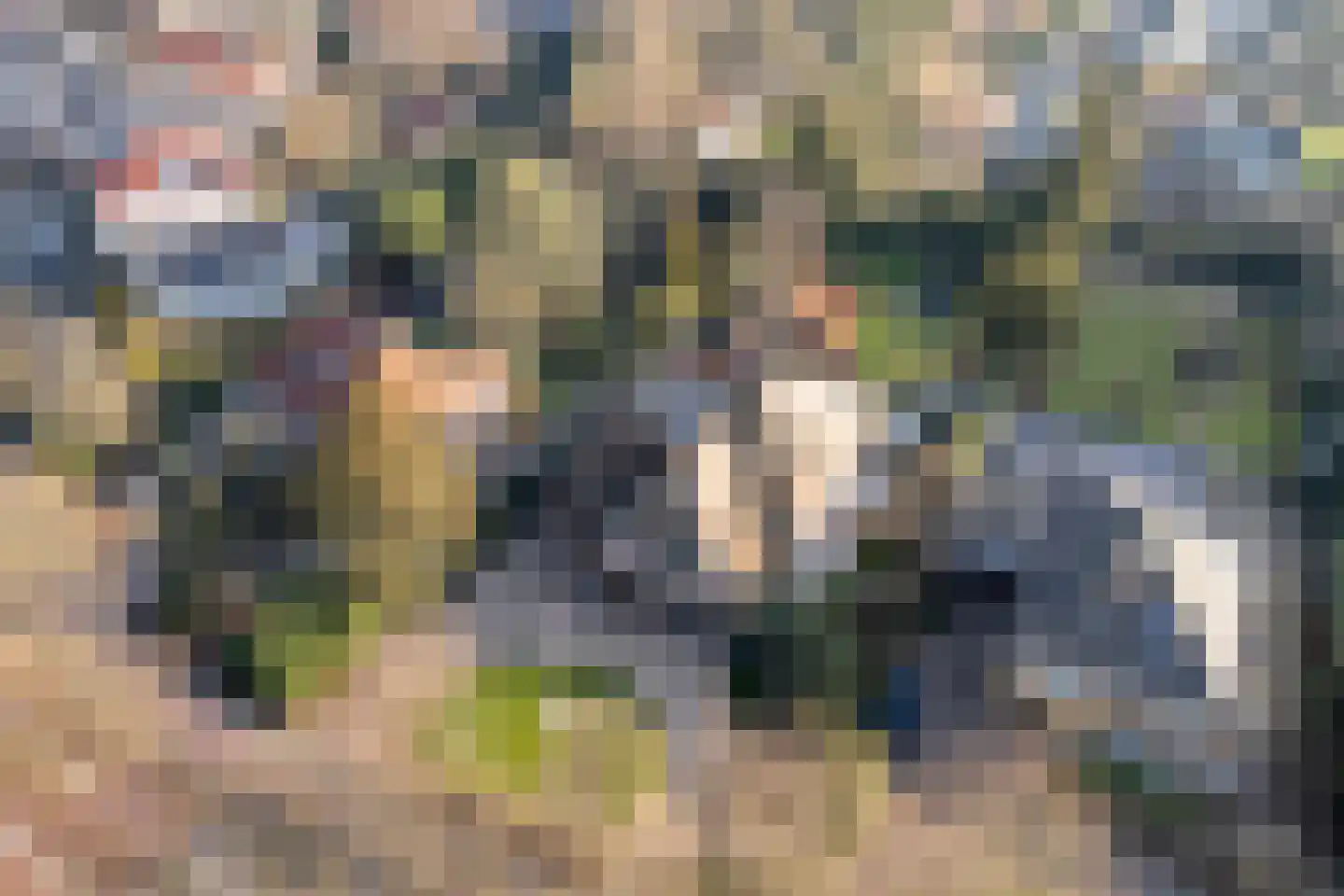 Stationsweg 6 Ommen thumbnail 7