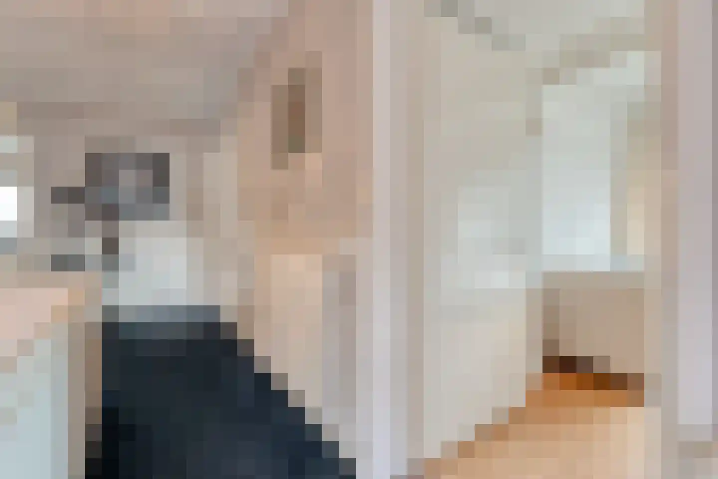 Stationsweg 6 Ommen thumbnail 70
