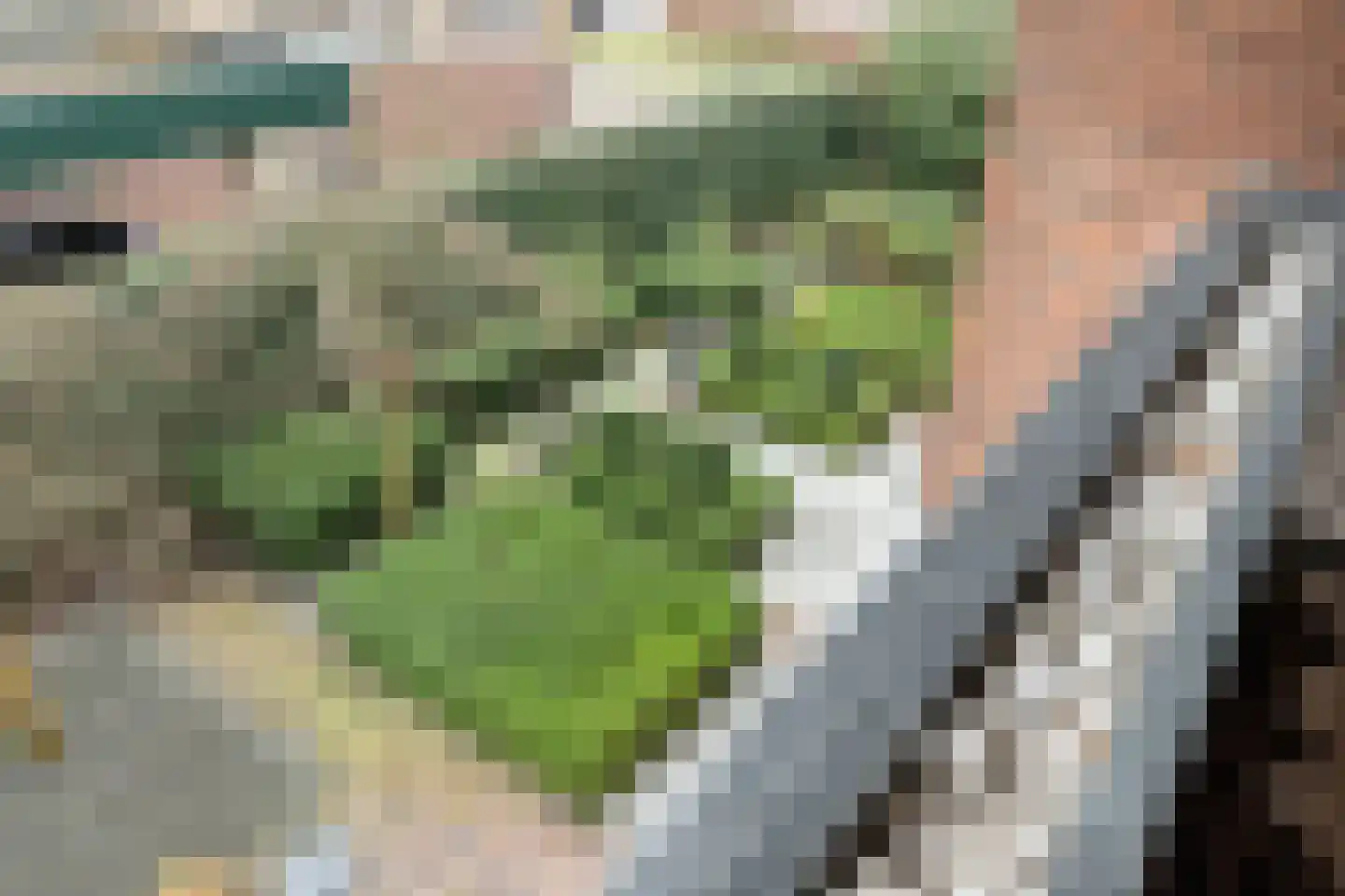 Stationsweg 6 Ommen thumbnail 88