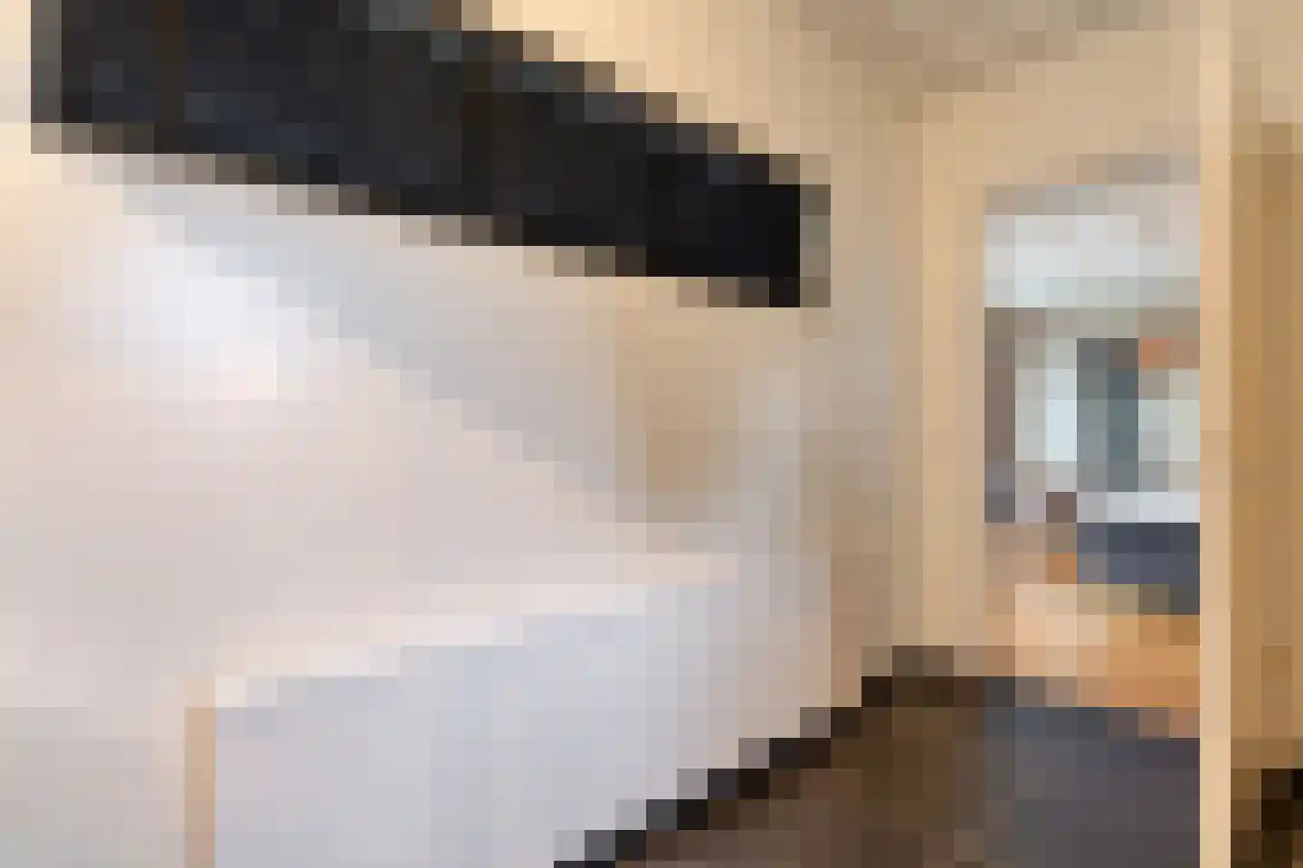 Stationsweg 6 Ommen thumbnail 89