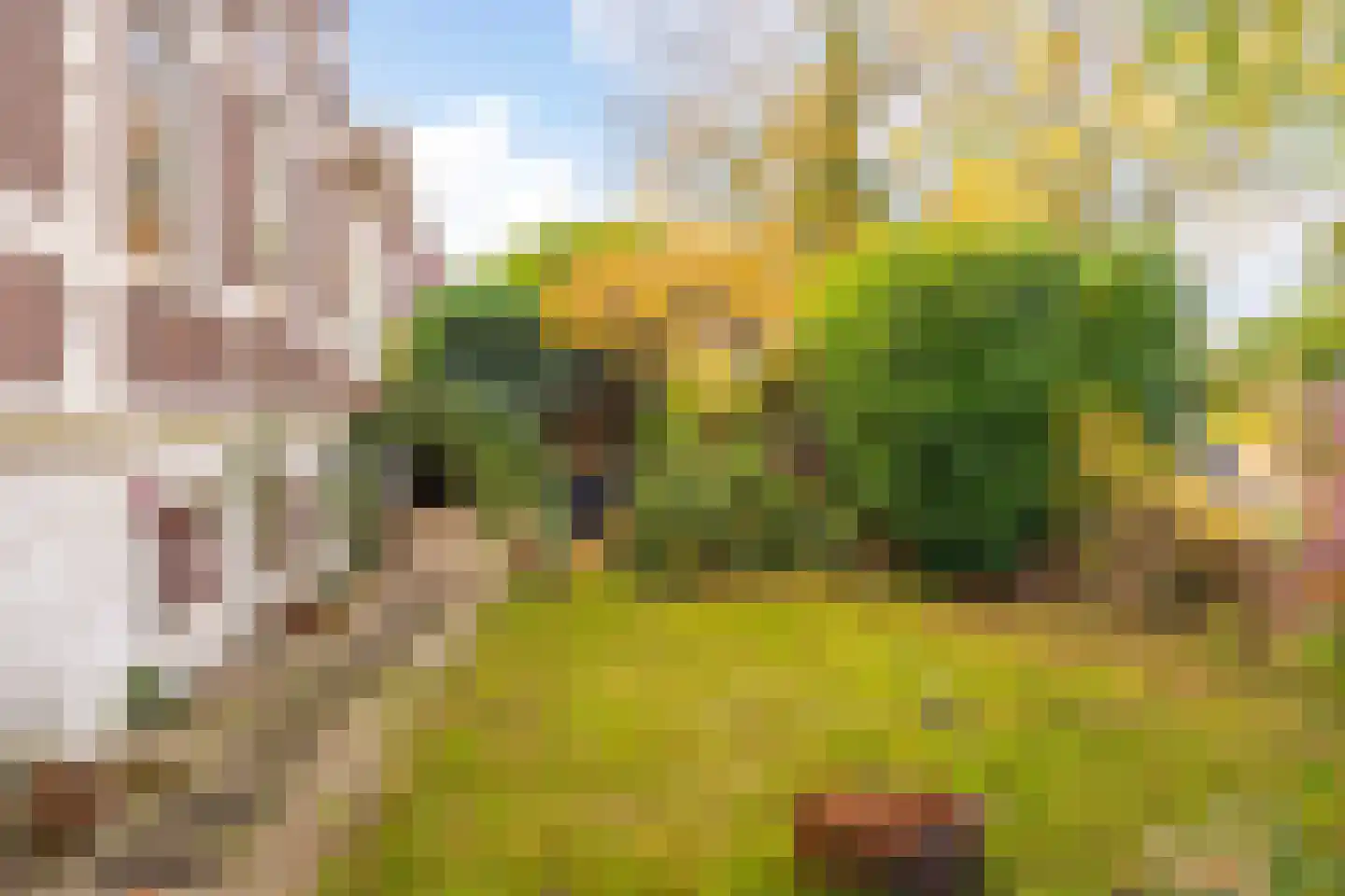 Stationsweg 6 Terborg thumbnail 10