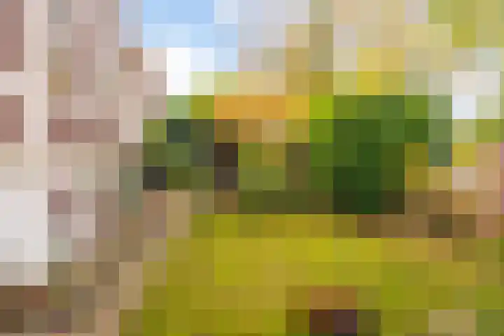 Stationsweg 6 Terborg thumbnail 12