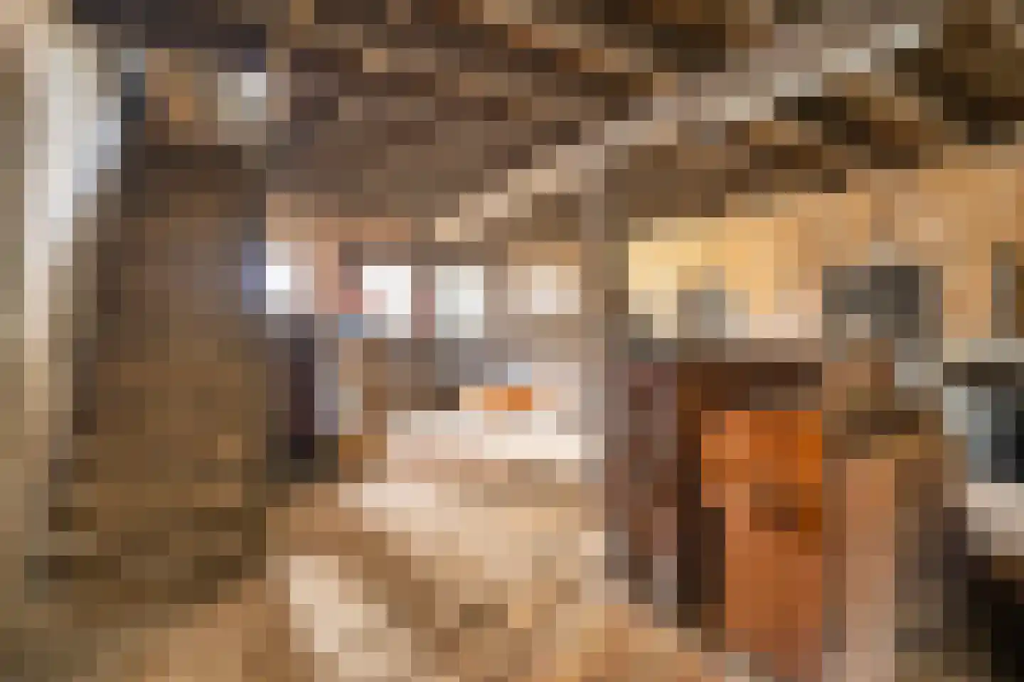 Stationsweg 6 Terborg thumbnail 38